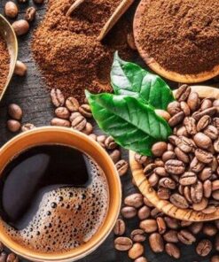 CÁC SẢN PHẨM